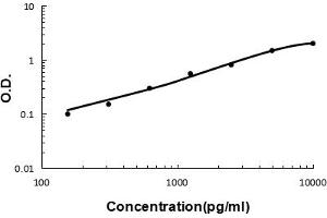 Sandwich ELISA - Recombinant mouse PON1 protein standard curve.