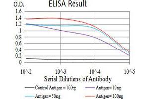 Black line: Control Antigen (100 ng);Purple line: Antigen (10ng); Blue line: Antigen (50 ng); Red line:Antigen (100 ng) (TdT antibody  (AA 52-192))