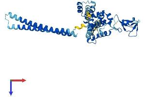 AlphaFold protein structure predicition of Mouse Recombinant Rmnd5b Protein, UniprotID Q91YQ7 (RMND5B Protein (AA 1-393) (His tag))