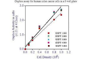 Image no. 2 for Oxphos™ Cell Survival Assay Kit (ABIN1607919)