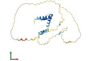 AlphaFold protein structure predicition of Human Recombinant AKT1S1 Protein, UniprotID Q96B36 (PRAS40 Protein (AA 1-256) (His tag))