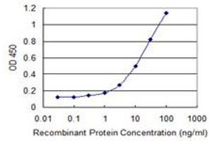 Detection limit for recombinant GST tagged TTRAP is 0. (TDP2 antibody  (AA 1-362))