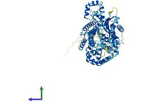 Protein Structure (PS) image for EPM2A (Laforin) Interacting Protein 1 (EPM2AIP1) (AA 1-606) protein (His tag) (ABIN7559910)