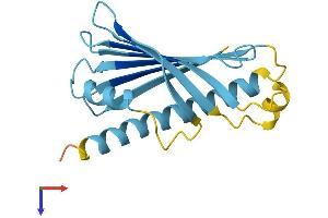 Slowmo Homolog 1 (SLMO1) (AA 1-172) protein (His tag)