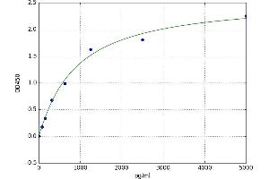 Integrin beta 3 (ITGB3) ELISA Kit