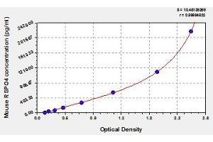 R-Spondin 4 ELISA Kit