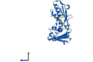 AlphaFold protein structure predicition of Human Recombinant ARPC2 Protein, UniprotID O15144