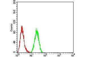 Flow Cytometry (FACS) image for anti-Histone Deacetylase 4 (HDAC4) (AA 456-592) antibody (ABIN5542325)