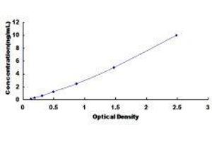 Histone Deacetylase 2 (HDAC2) ELISA Kit
