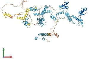 AlphaFold protein structure predicition of Human Recombinant ZNF441 Protein, UniprotID Q8N8Z8