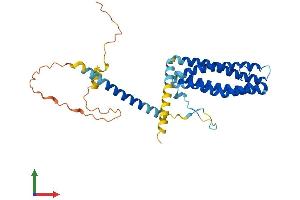 AlphaFold protein structure predicition of Human Recombinant SCAMP2 Protein, UniprotID O15127 (SCAMP2 Protein (AA 1-329) (His tag))