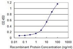 Detection limit for recombinant GST tagged CCNDBP1 is 0. (CCNDBP1 antibody  (AA 261-360))