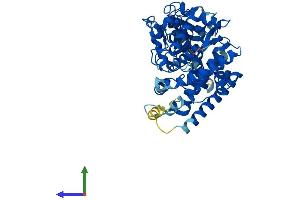 AlphaFold protein structure predicition of Human Recombinant CYP4F12 Protein, UniprotID Q9HCS2