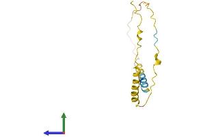 Protein Structure (PS) image for Brain Expressed, X-Linked 4 (BEX4) (AA 1-118) protein (His tag) (ABIN7560683)