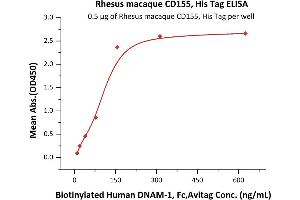 Immobilized Rhesus macaque CD155, His Tag (ABIN6386414,ABIN6388272) at 5 μg/mL (100 μL/well) can bind Biotinylated Human DNAM-1, Fc,Avitag (ABIN4949019,ABIN4949020) with a linear range of 10-156 ng/mL (Routinely tested). (Poliovirus Receptor Protein (PVR) (AA 28-343) (His tag))