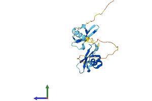 AlphaFold protein structure predicition of Mouse Recombinant Cbx1 Protein, UniprotID P83917 (CBX1 Protein (AA 1-185) (His tag))