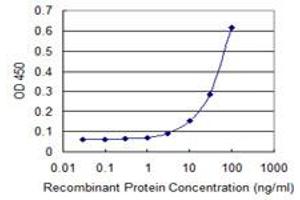 Detection limit for recombinant GST tagged PGLS is 1 ng/ml as a capture antibody. (PGLS antibody  (AA 1-258))