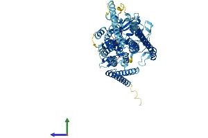 AlphaFold protein structure predicition of Human Recombinant ANO10 Protein, UniprotID Q9NW15