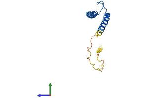 AlphaFold protein structure predicition of Human Recombinant TAL2 Protein, UniprotID Q16559 (TAL2 Protein (AA 1-108) (His tag))