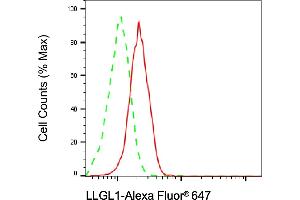 Flow cytometric analysis of LLGL1 expression in HAP-1 cells using LLGL1 antibody (ABIN7799250), 1:2,000). (Recombinant LLGL1 antibody)