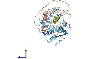 AlphaFold protein structure predicition of Human Recombinant ZNF566 Protein, UniprotID Q969W8
