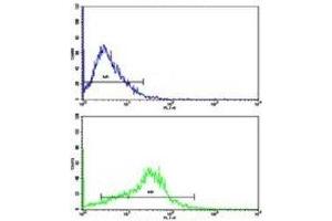 Flow cytometric analysis of HepG2 cells using APP antibody (bottom histogram) compared to a negative control (top histogram). (APP antibody  (AA 29-61))
