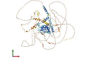 AlphaFold protein structure predicition of Human Recombinant SUPT20HL1 Protein, UniprotID Q3ZLR7 (SUPT20HL1 Protein (AA 1-823) (His tag))