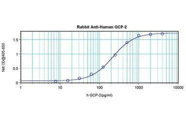 CXCL6 antibody