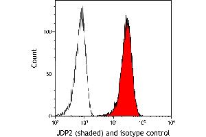 Flow Cytometry (FACS) image for anti-Jun Dimerization Protein 2 (JDP2) (AA 50-100) antibody (ABIN7795636) (Recombinant JDP2 antibody  (AA 50-100))