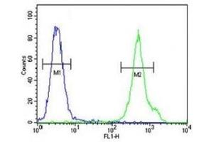 Flow Cytometry (FACS) image for anti-CD1e (CD1e) (AA 184-212) antibody (ABIN3030538)
