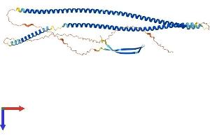 AlphaFold protein structure predicition of Human Recombinant KRT39 Protein, UniprotID Q6A163