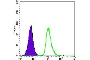 Flow cytometric analysis of HepG2 cells using SMN1 mouse mAb (green) and negative control (purple). (SMN1 antibody)