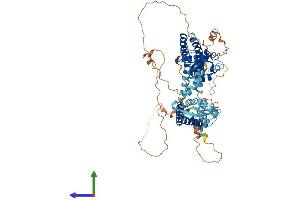AlphaFold protein structure predicition of Human Recombinant KCNC4 Protein, UniprotID Q03721