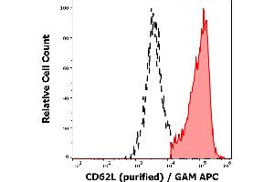 Separation of human CD62L positive lymphocytes (red-filled) from CD62L negative lymphocytes (black-dashed) in flow cytometry analysis (surface staining) of human peripheral whole blood stained using anti-human CD62L (DREG56) purified antibody (concentration in sample 1 μg/mL) GAM APC. (L-Selectin antibody)