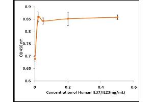 Activity Assay (AcA) image for Interleukin 37 (IL37) (Active) protein (ABIN5509527) (IL-37 Protein)