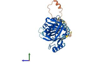 AlphaFold protein structure predicition of Mouse Recombinant Serpinb2 Protein, UniprotID P12388