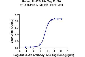 Immobilized Human IL-12B, His Tag at 0. (IL12B Protein (AA 23-328) (His tag))