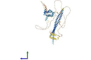 Protein Structure (PS) image for Centrosomal Protein 72kDa (CEP72) (AA 1-647) protein (His tag) (ABIN7553281)