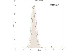 Detection of TNFSF13 in Raji human Burkitt's lymphoma cell line using Anti-Tumor Necrosis Factor Ligand Superfamily, Member 13 (TNFSF13) Polyclonal Antibody (TNFSF13 antibody  (AA 105-250))