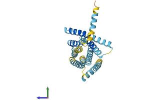 AlphaFold protein structure predicition of Human Recombinant TAS2R5 Protein, UniprotID Q9NYW4 (TAS2R5 Protein (AA 1-299) (His tag))