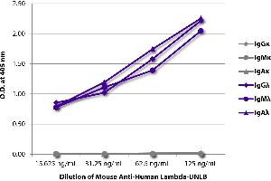 ELISA plate was coated with purified human IgGκ, IgMκ, IgAκ, IgGλ, IgMλ, and IgAλ. (Mouse anti-Human lambda (Chain lambda) Antibody)