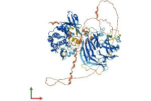AlphaFold protein structure predicition of Mouse Recombinant Map4k5 Protein, UniprotID Q8BPM2
