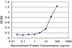 Detection limit for recombinant GST tagged RNF2 is approximately 3ng/ml as a capture antibody. (RNF2 antibody  (AA 192-290))