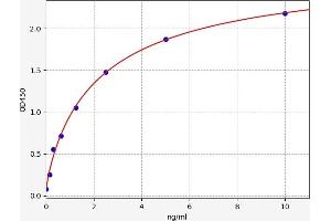 HMGA1 ELISA Kit