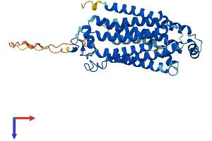 Progestin and AdipoQ Receptor Family Member IX (PAQR9) (AA 1-375) protein (His tag)