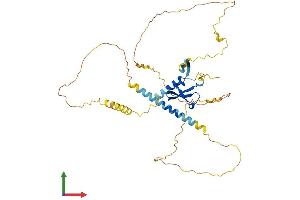 AlphaFold protein structure predicition of Human Recombinant CBX8 Protein, UniprotID Q9HC52