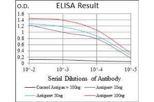Red: Control Antigen (100ng) ; Purple: Antigen (10ng) ; Green: Antigen (50ng) ; Blue: Antigen (100ng). (CD24 antibody  (AA 15-80))