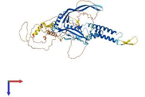 Transmembrane Protein 151B (TMEM151B) (AA 1-566) protein (His tag)
