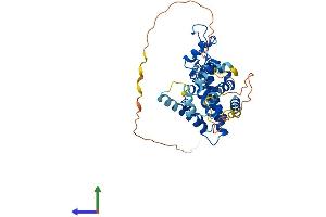 Protein Structure (PS) image for Nuclear Receptor Subfamily 2, Group F, Member 2 (NR2F2) (AA 1-414) protein (His tag) (ABIN7563255)