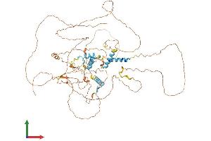 AlphaFold protein structure predicition of Human Recombinant FBXO34 Protein, UniprotID Q9NWN3